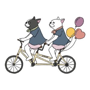 二匹のフレンチブルドッグが風船のついた自転車をこいでいるイラスト