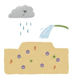 畑に雨が降るイラスト