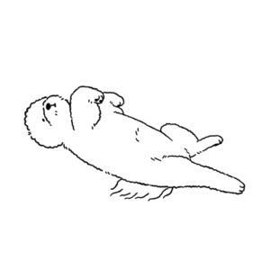 ゴロゴロするビジョンフリーゼのイラスト