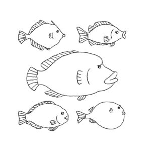 唇が可愛い色々な魚のイラスト