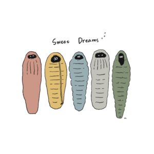 色々な形の寝袋のイラスト