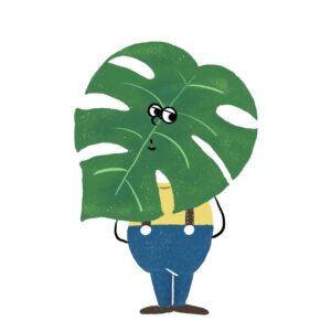 モンステラの男の子のイラスト